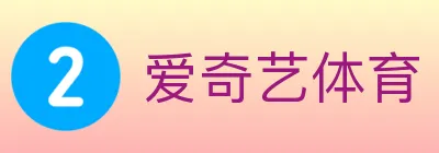 爱奇艺体育 logo